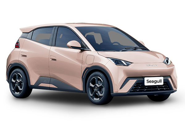 BYD Seagull Pink